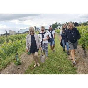THE MARTINBOROUGH MINI WALK martinborough-wine-merchants